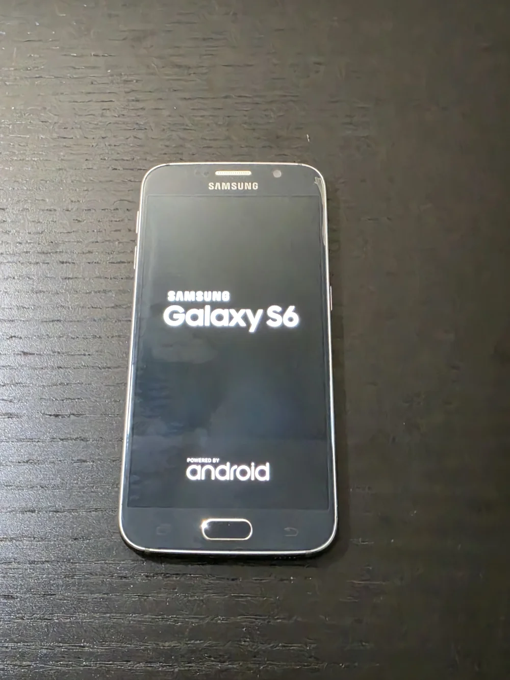 Samsung Galaxy S6 - Deep Blue Back